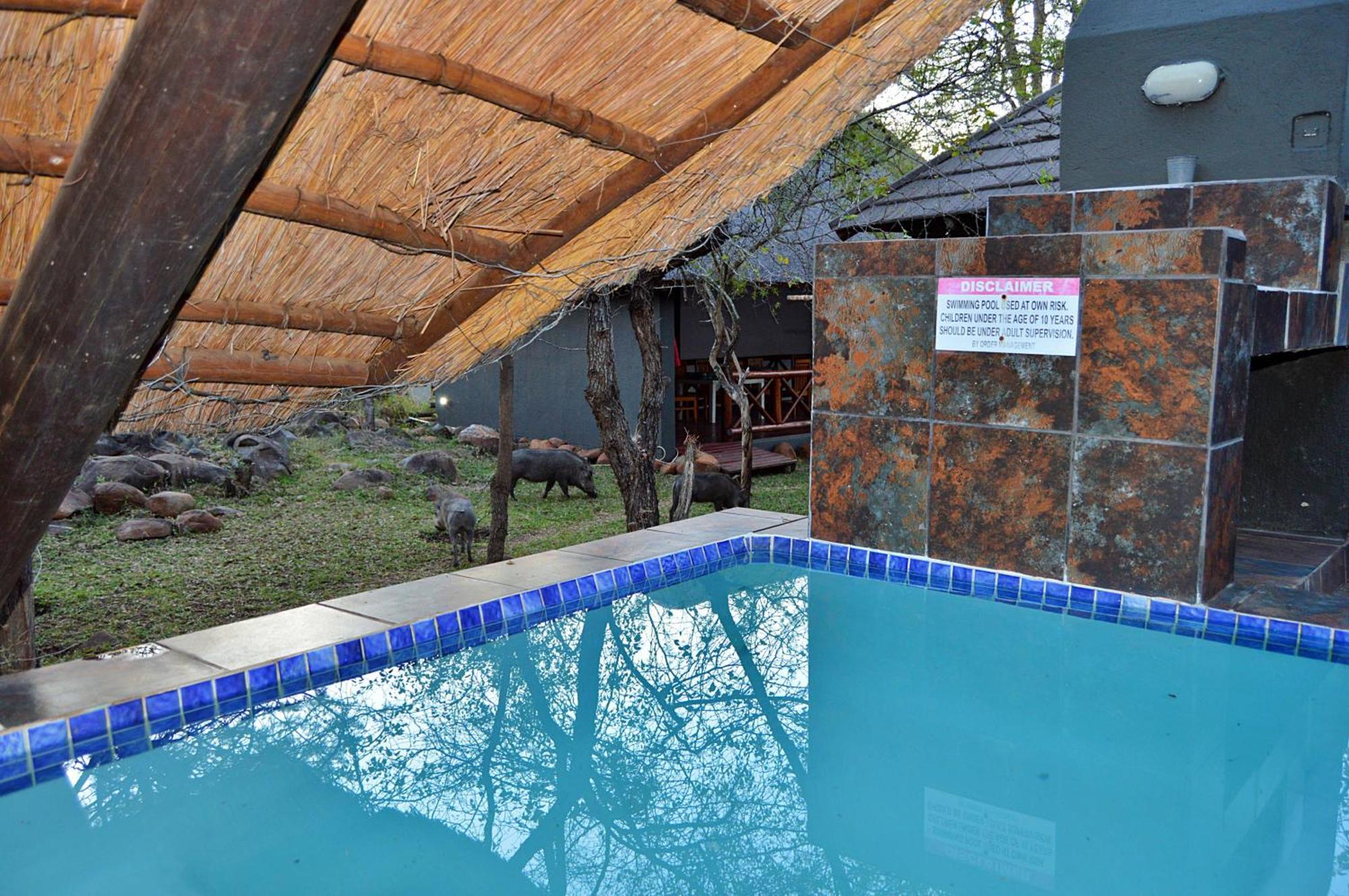 Royal Marlothi Kruger Safari Lodge And Spa Marloth Park Exterior foto